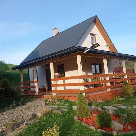 Domki W Bieszczadzkiej Dolinie Ustrzyki Dolne Exterior foto