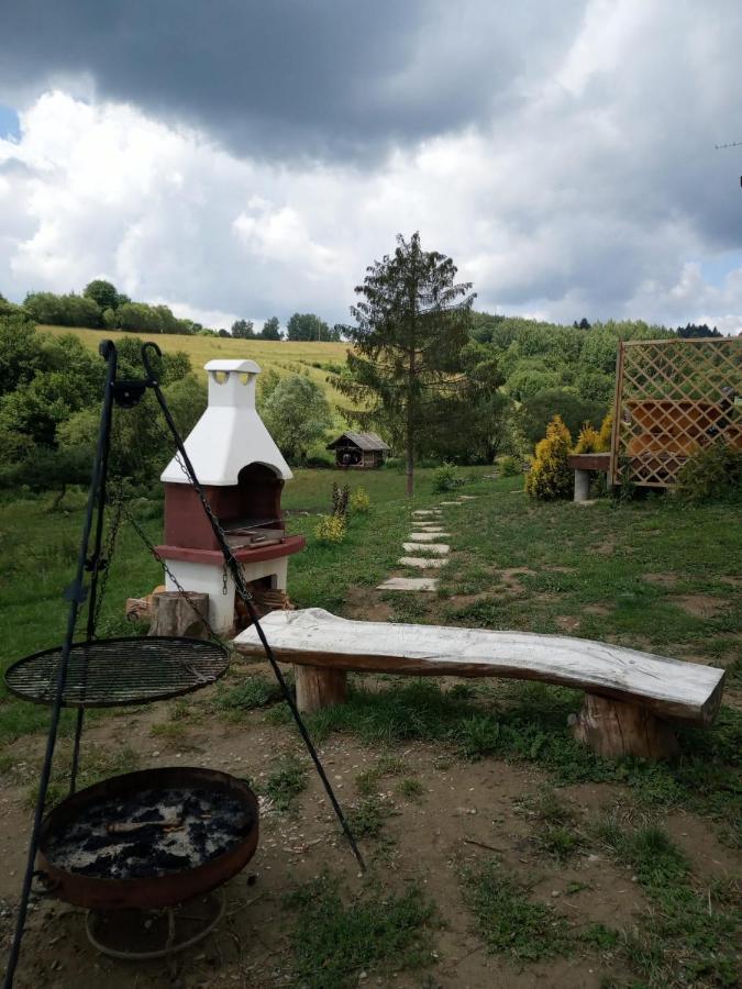 Domki W Bieszczadzkiej Dolinie Ustrzyki Dolne Exterior foto